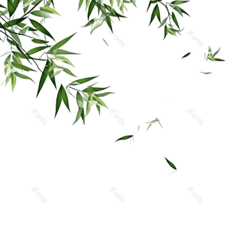 叶子图片,装饰元素,竹叶PNG,绿叶免抠素材